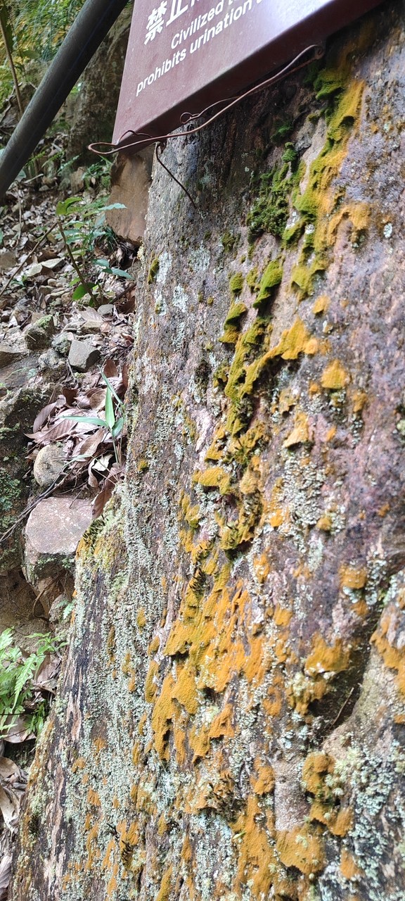 IMG_20260710_103435.jpg